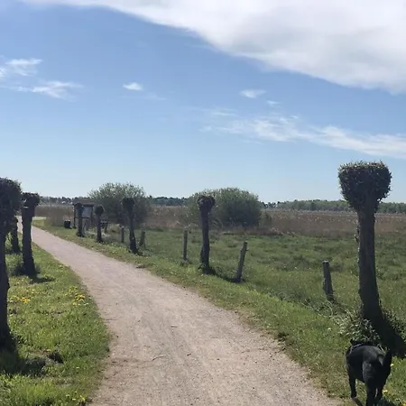 Fabian Comfortable Wieck