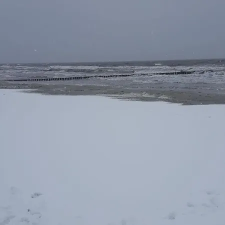 Fabian Comfortable * Wieck