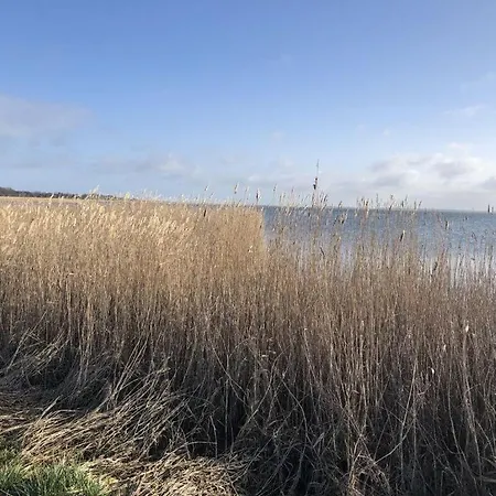 Feriehus Fabian Comfortable