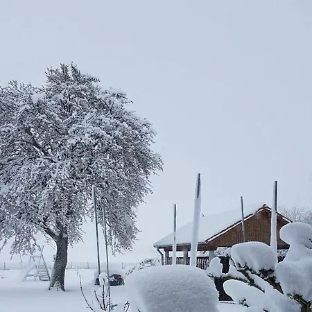 Fabian Comfortable Wieck