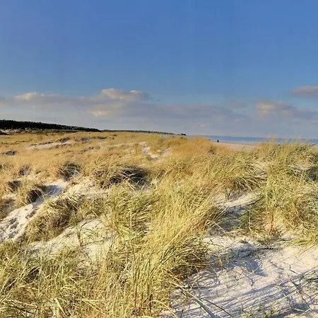 Fabian Comfortable *