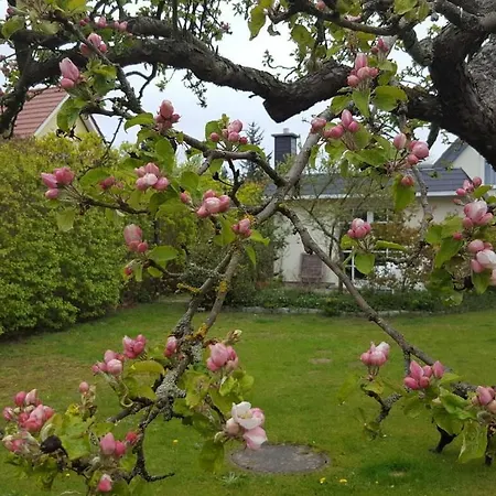 Fabian Comfortable * Wieck