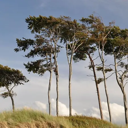 Feriehus Fabian Comfortable