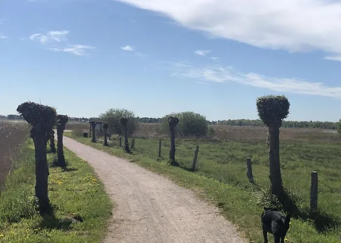 Fabian Comfortable Wieck