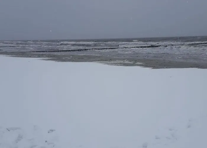 Fabian Comfortable * Wieck