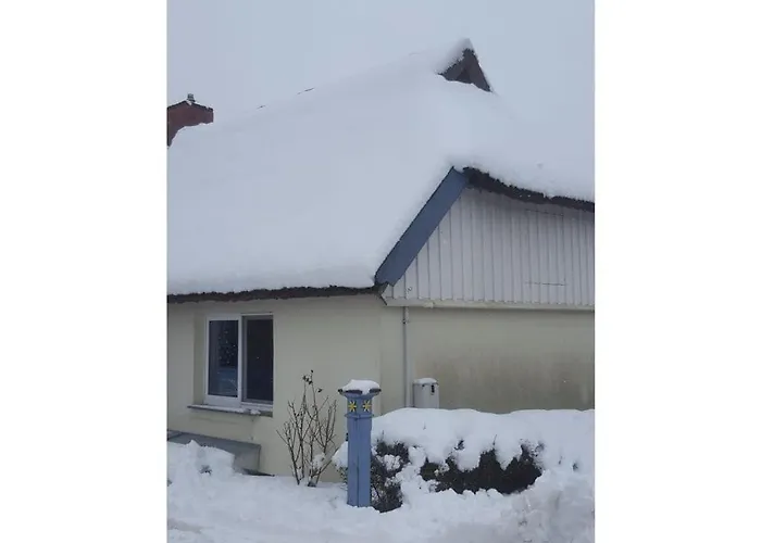 Fabian Comfortable * Wieck