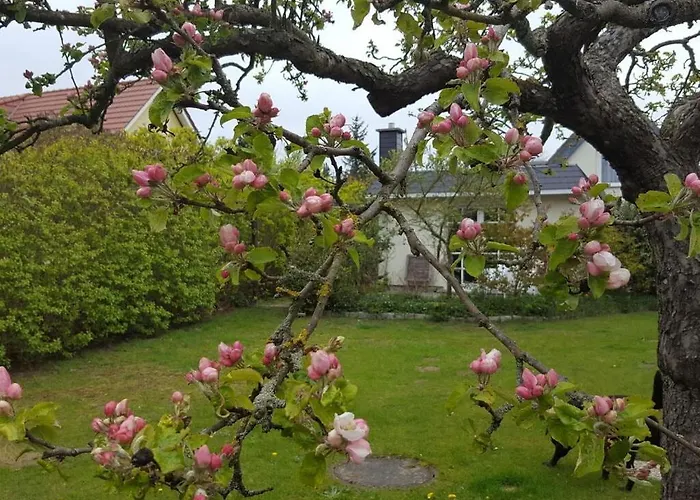 Fabian Comfortable * Wieck