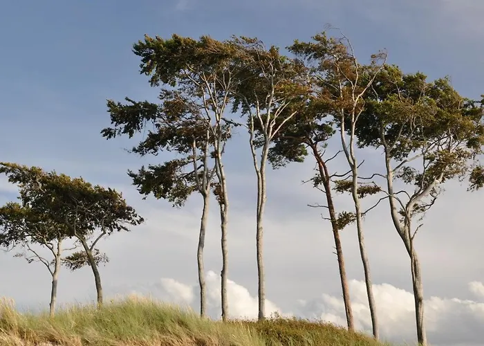 Сasa de vacaciones Fabian Comfortable